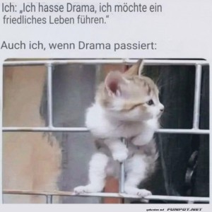 fun-Bild: Wenn Drama passiert