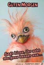 Guten-Morgen.jpg auf www.funpot.net