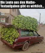 Ziemlich-viele-Bananen.jpg auf www.funpot.net