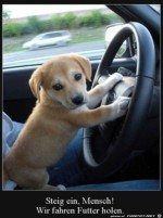 Die-Fahrt-geht-gleich-los.jpg auf www.funpot.net