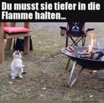 Katze-am-Grill.jpg auf www.funpot.net