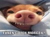 weiter