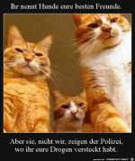 Um-mal-eines-klarzustellen.jpg auf www.funpot.net