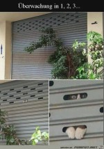 Tierische-berwachungskamera-am-Start.jpg auf www.funpot.net