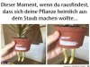 weiter