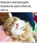 Nickerchen.jpg auf www.funpot.net