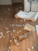 Ganze-Arbeit-geleistet.gif auf www.funpot.net
