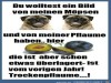 weiter