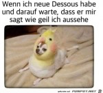 Hbsch-angezogen.jpg auf www.funpot.net