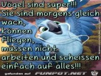 Vögel sind super !!!