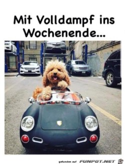 Wochenende.jpg auf www.funpot.net