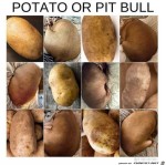 Lustiges-Rtselbild.jpg auf www.funpot.net