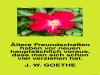 weiter