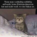Ziemlich-verblasen.jpg auf www.funpot.net