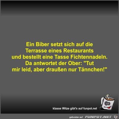 Ein-Biber-setzt-sich-auf-die-Terrasse-eines-Restaurants-und.jpg von Fossy