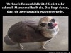 weiter