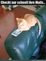 Katze-checkt-Mails.jpg auf www.funpot.net
