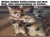 weiter