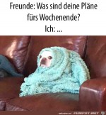 Plne-frs-Wochenende.jpg auf www.funpot.net