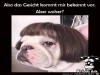 weiter
