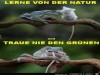 weiter