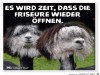 weiter