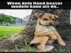 weiter