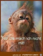 mach-nicht-mit.jpg auf www.funpot.net