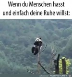 Ich-will-meine-Ruhe.jpg auf www.funpot.net