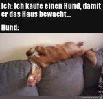 Super-Wachhund.jpg auf www.funpot.net