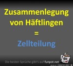 Zellteilung.jpg auf www.funpot.net