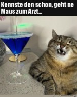 Kennst-du-den-Witz-schon?.jpg auf www.funpot.net