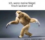 Ngel-frisch-lackiert.jpg auf www.funpot.net