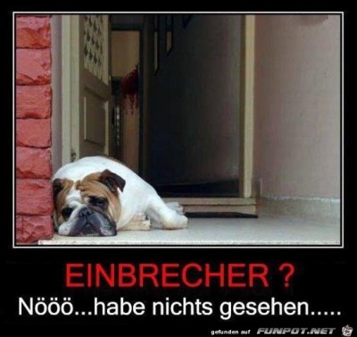 Keine-Einbrecher-da.jpg von Fabi