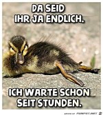 Ihr-seid-ja-endlich-da.jpg auf www.funpot.net