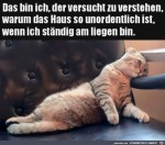 Faul-rumliegen.jpg auf www.funpot.net