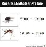 Bereitschaftsplan.jpg auf www.funpot.net