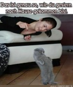 So-hast-du-gestern-Abend-ausgesehen.jpg auf www.funpot.net