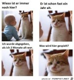 Was-macht-das-Baby-noch-hier?.jpg auf www.funpot.net
