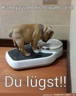 Die-Waage-lgt.jpg auf www.funpot.net
