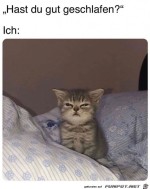 Verpeilter-Gesichtsausdruck.jpg auf www.funpot.net