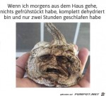 Morgens.jpg auf www.funpot.net