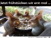 weiter