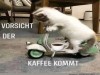 weiter