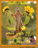 Halli---hallo.png auf www.funpot.net