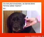 Termine-selber-ausmachen.jpg auf www.funpot.net