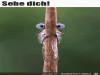 weiter