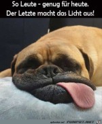 Genug-fr-heute.jpg auf www.funpot.net