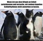 Nach-dem-Urlaub.jpg auf www.funpot.net