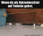 Katzen-beobachten-dich.jpg auf www.funpot.net